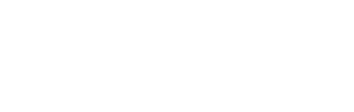 RZ Sports Turf