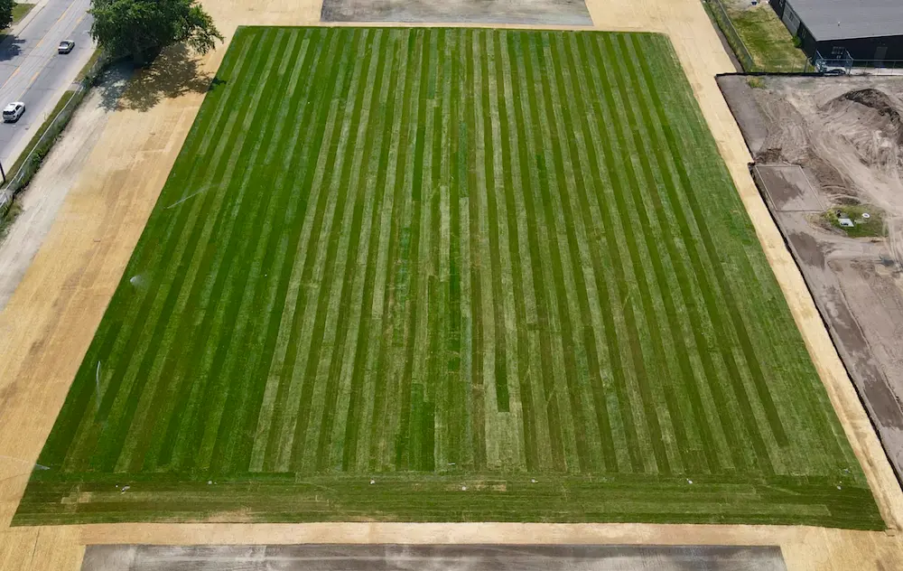 rz sports turf after