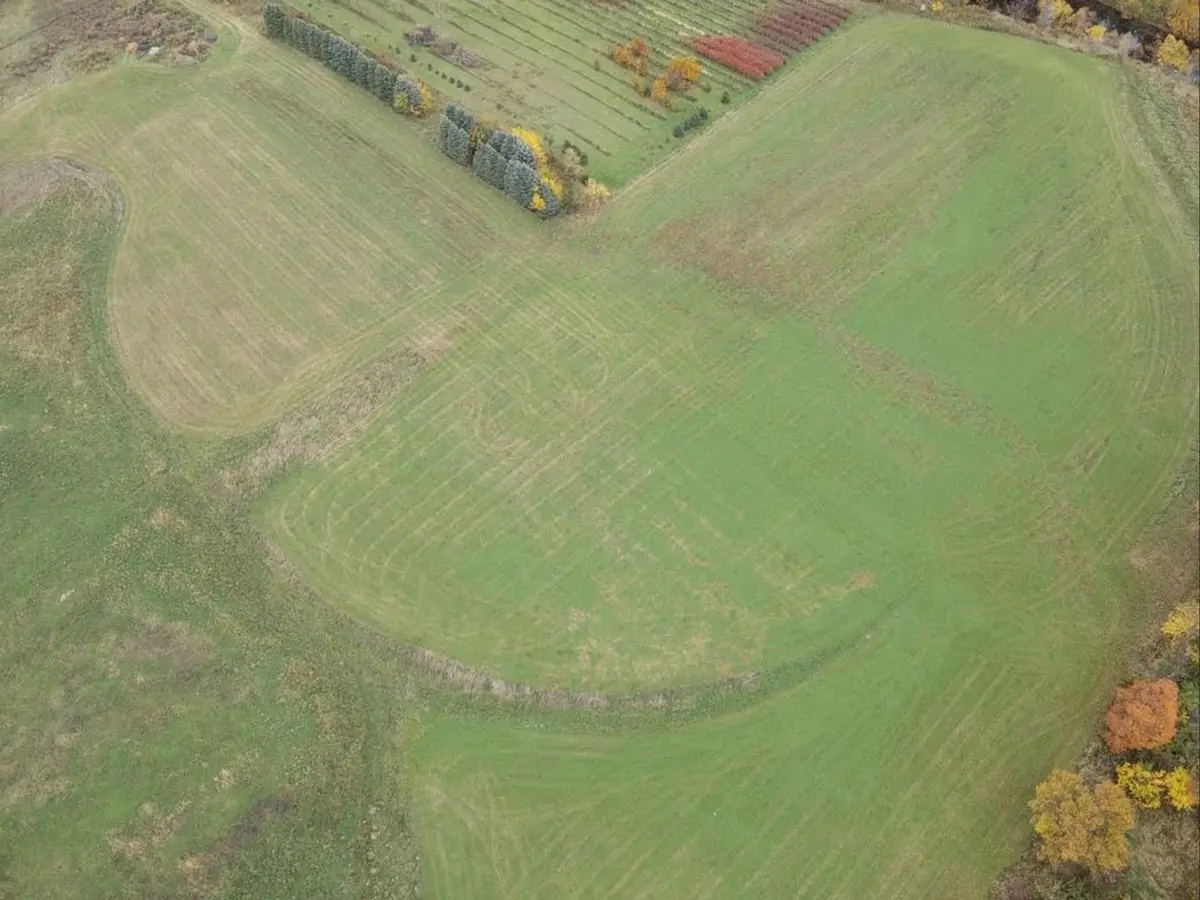 rz sports turf before