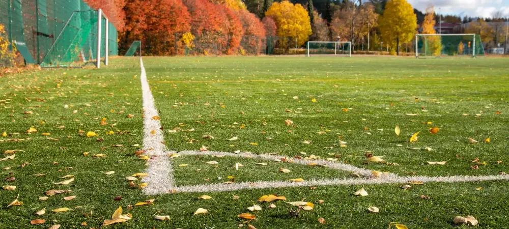 soccer field during the fall