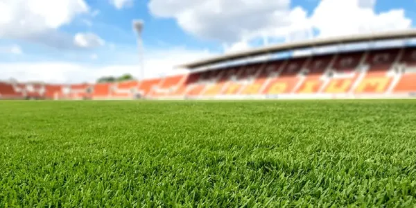 grass athletic field