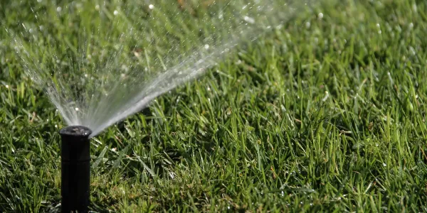 sprinkler