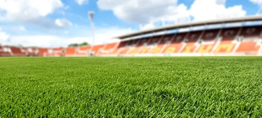 grass athletic field