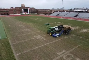 laying-dirt
