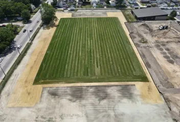 Field